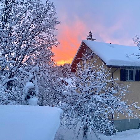 Ferienwohnung Haus Am Bach In Toggenburg ويلدهاوس المظهر الخارجي الصورة