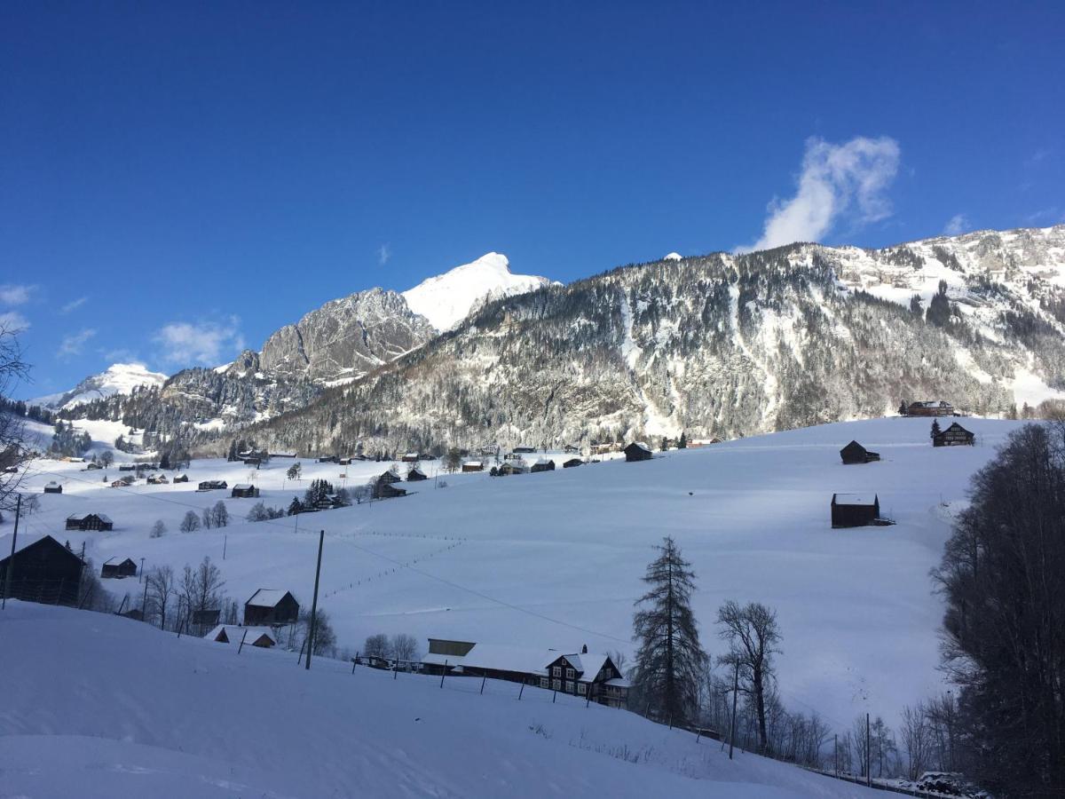 Ferienwohnung Haus Am Bach In Toggenburg ويلدهاوس المظهر الخارجي الصورة