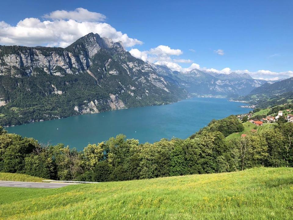Ferienwohnung Haus Am Bach In Toggenburg ويلدهاوس المظهر الخارجي الصورة