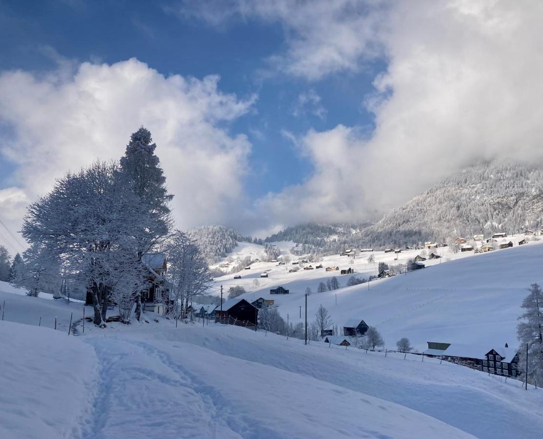 Ferienwohnung Haus Am Bach In Toggenburg ويلدهاوس المظهر الخارجي الصورة