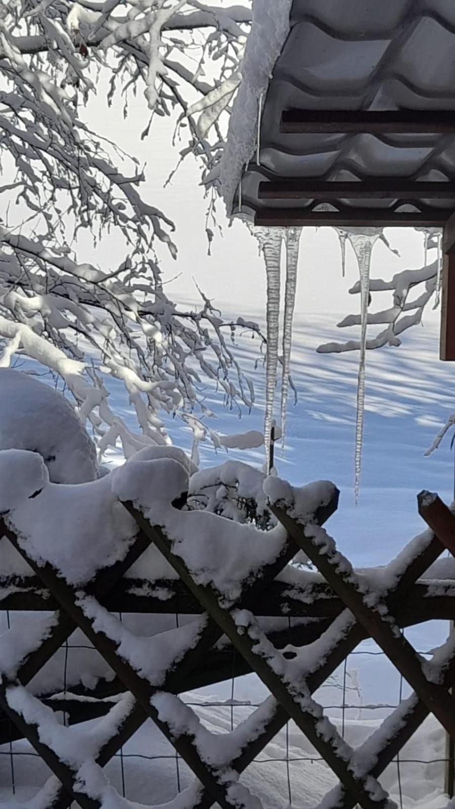 Ferienwohnung Haus Am Bach In Toggenburg ويلدهاوس المظهر الخارجي الصورة