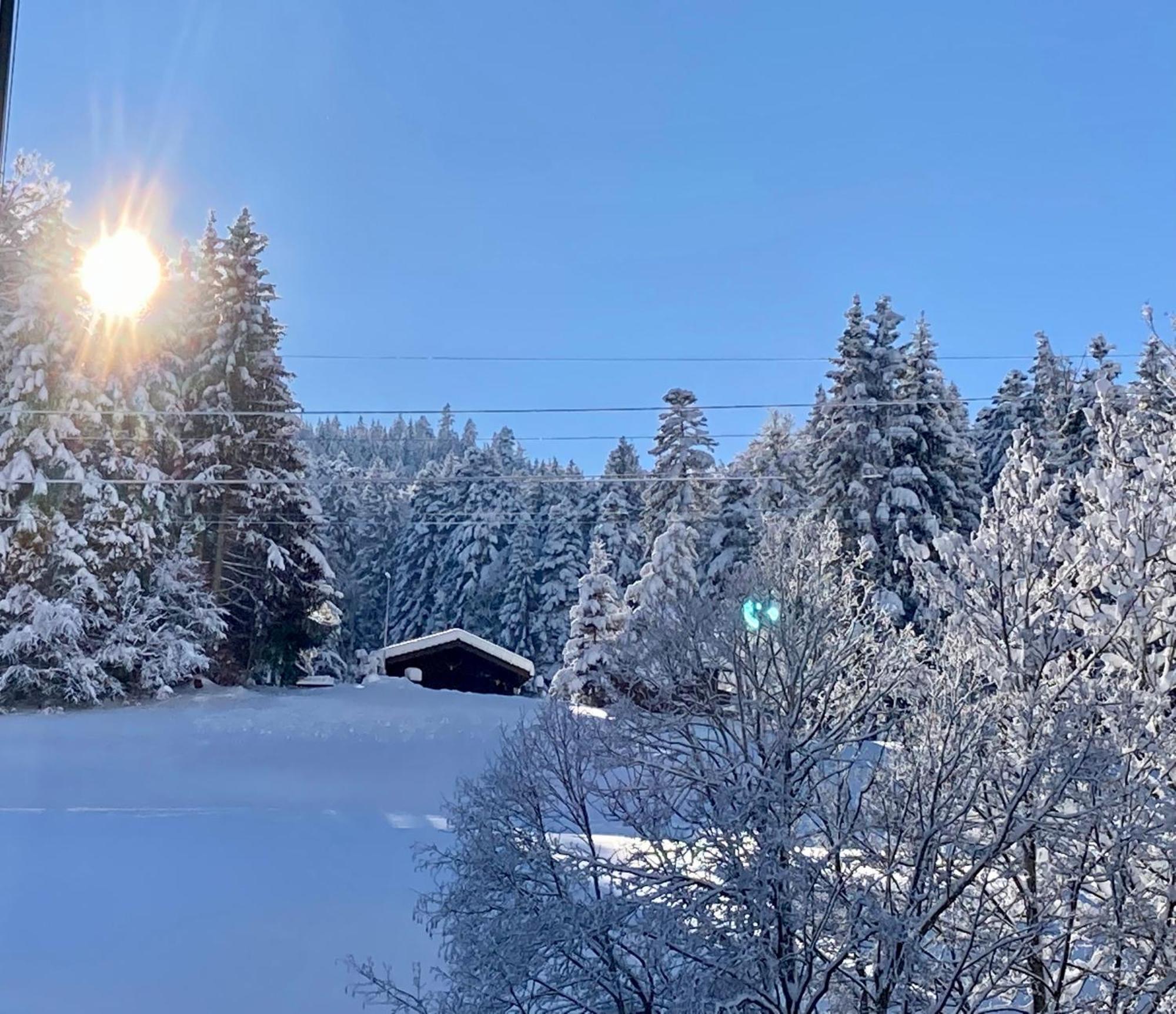 Ferienwohnung Haus Am Bach In Toggenburg ويلدهاوس المظهر الخارجي الصورة