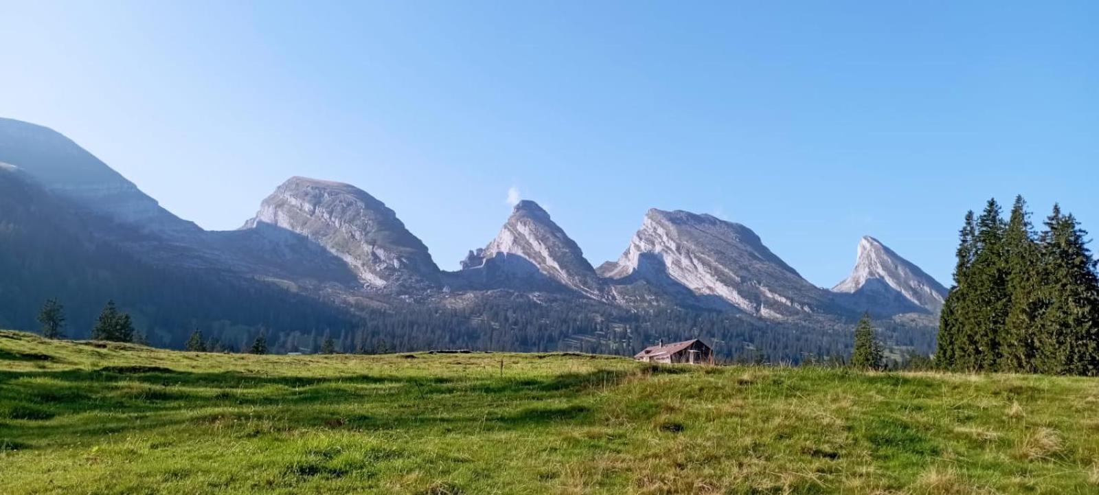 Ferienwohnung Haus Am Bach In Toggenburg ويلدهاوس المظهر الخارجي الصورة
